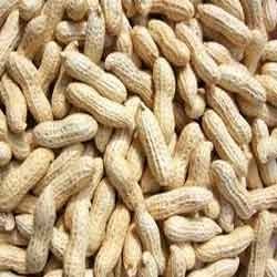 Manufacturers Exporters and Wholesale Suppliers of Groundnut Kernels Pune Maharashtra